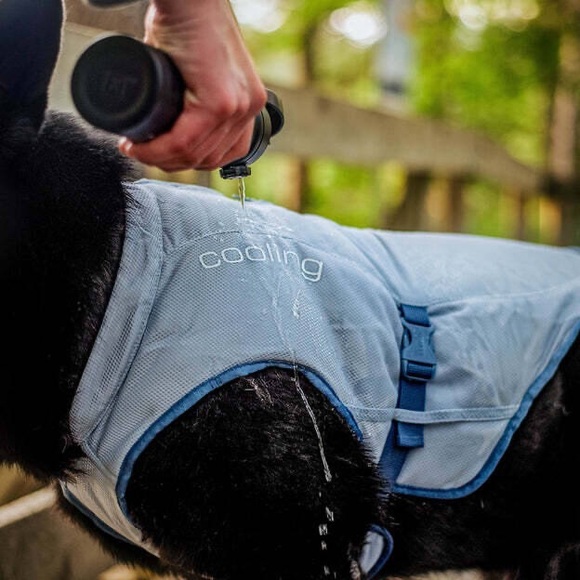 Dog Core Cooling Vests - Picture 2 of 7